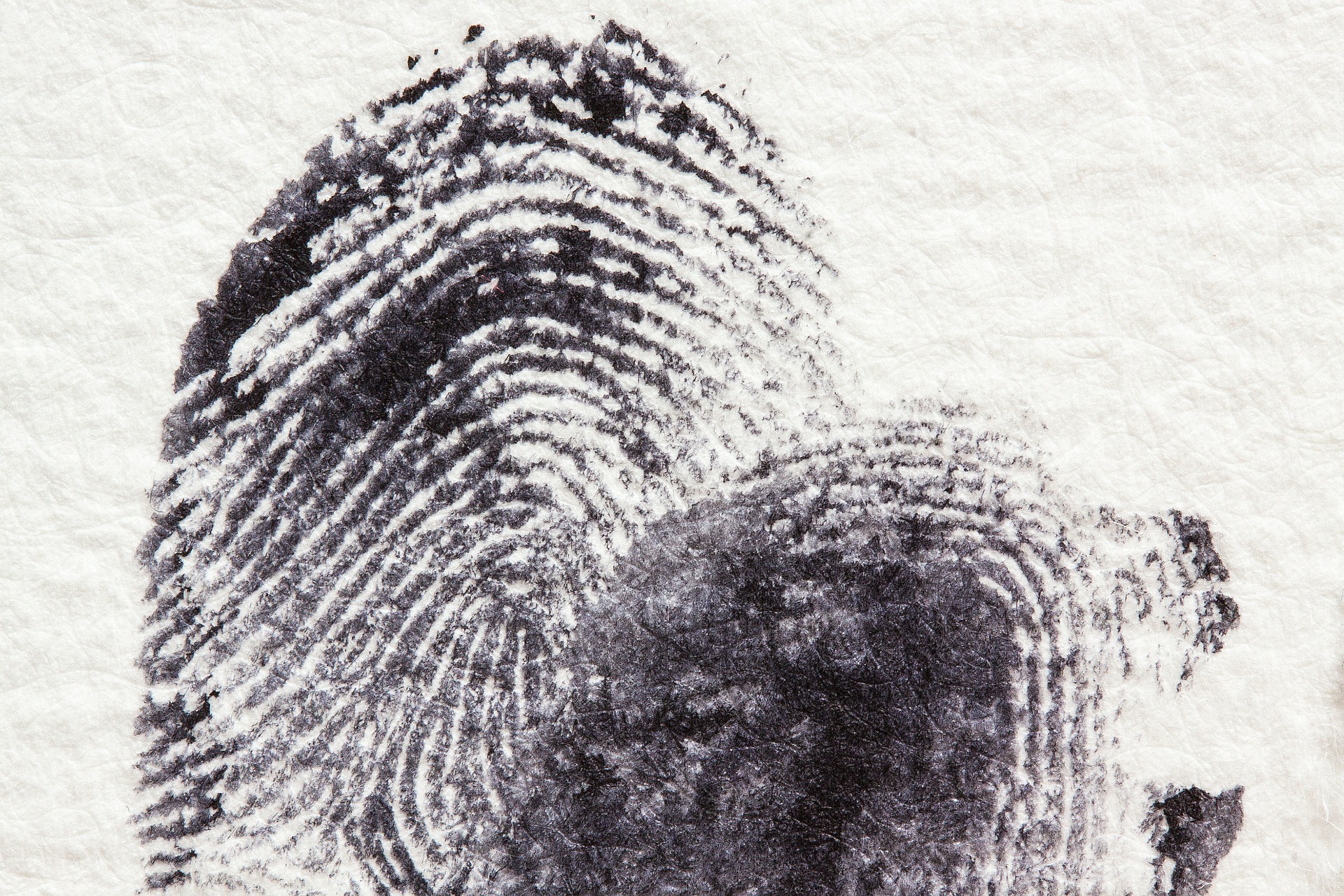 Ink Card Fingerprinting